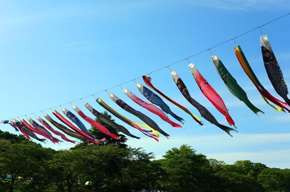 こどもの国こいのぼり