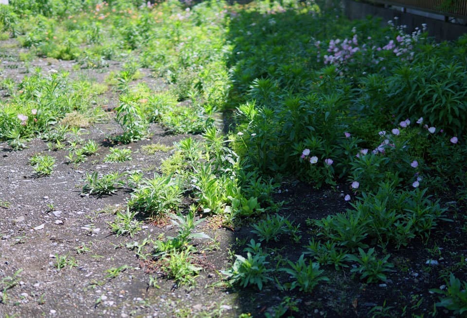 相模原の注文住宅