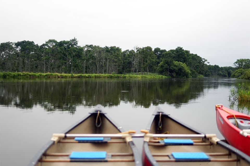釧路湿原のカヌー