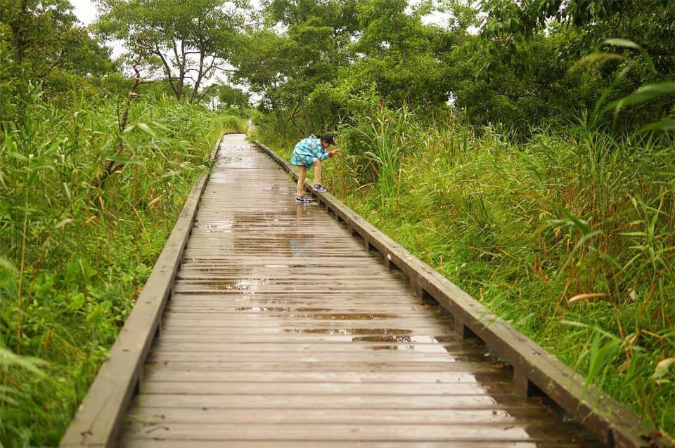 温根内木道と温根温泉