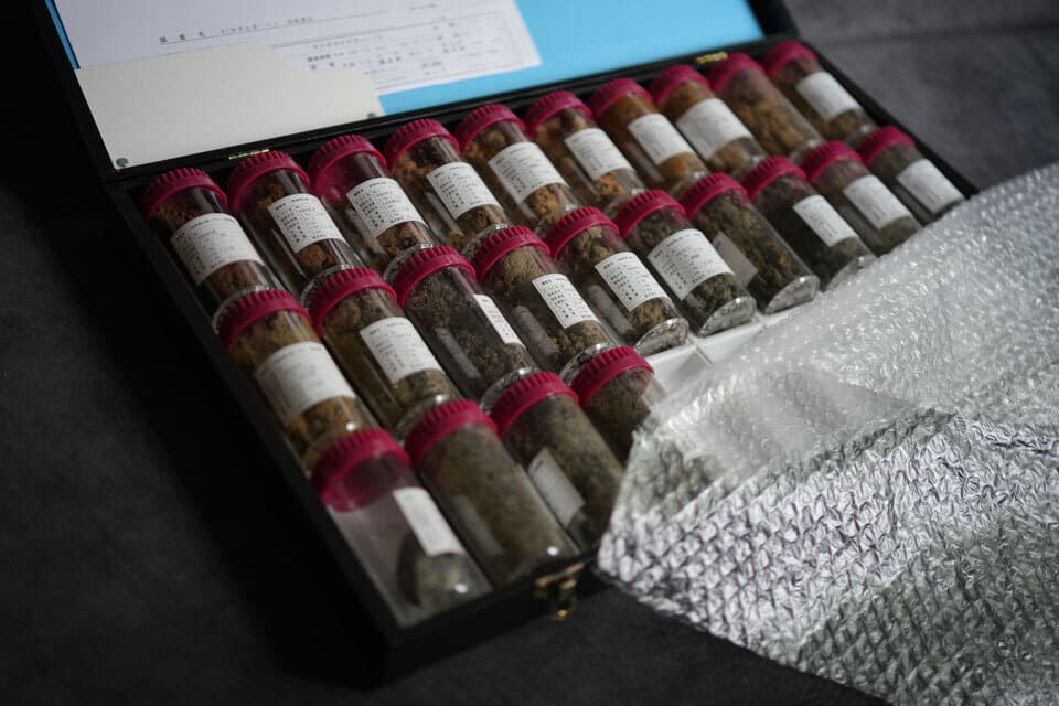 anyyボーリング調査