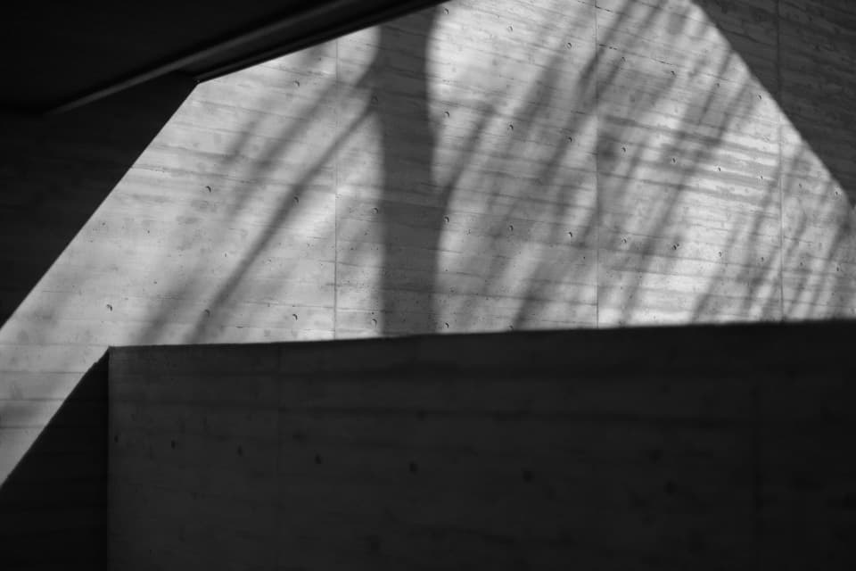 大倉山の設計事務所anyy